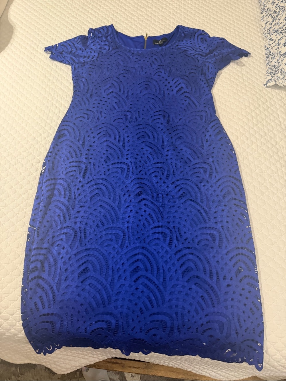 Ronni Nicole Royal Blue Lace Shift Dress